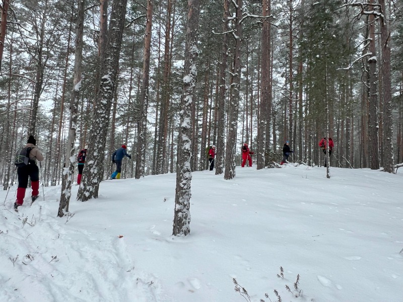 Jõulumatk räätsadel Agusalu soostikus